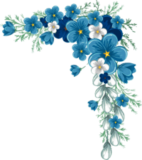 image d'ensemble de fleur bleu et blanc