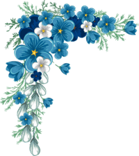 image d'ensemble de fleur bleu et blanc