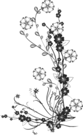 image d'un bouquet de branche de fleur en noir et blanc